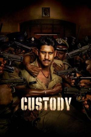 مشاهدة فيلم custody 2023 مترجم اون لاين