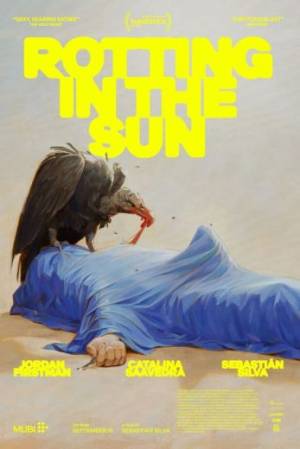 فيلم Rotting in the Sun 2023 مترجم بجودة HD