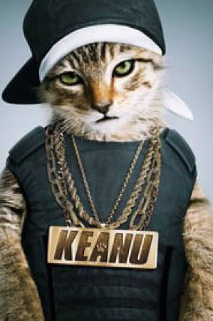 مشاهدة فيلم Keanu 2016 مترجم بجودة HD