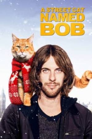 فيلم A Street Cat Named Bob 2016 مترجم اون لاين
