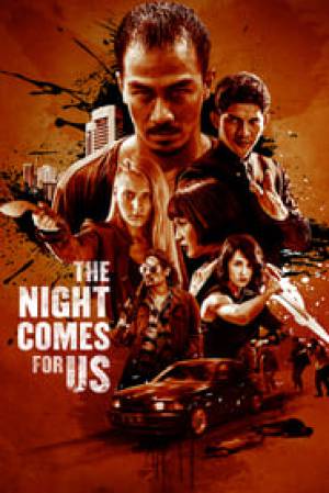فيلم The Night Comes For Us 2018 مترجم بجودة HD