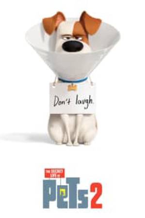 فيلم The Secret Life of Pets 2 2019 مترجم اون لاين