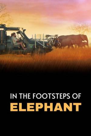 فيلم In the Footsteps of Elephant 2020 مترجم بجودة HD